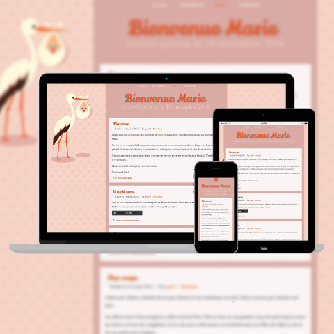 flat-presentation-cigogne