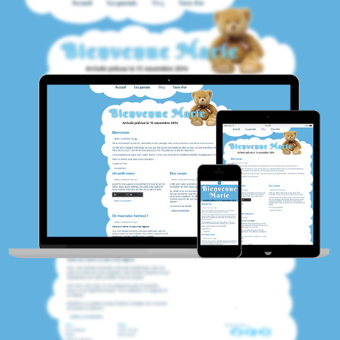 Site de naissance Nounours