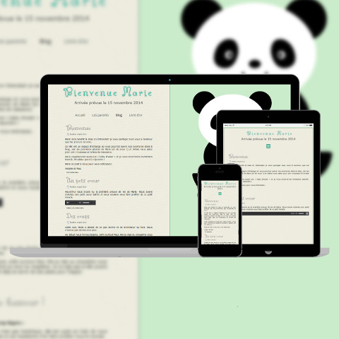 Site de naissance Panda